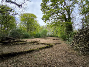 Photo de galerie - Après débroussaillage 