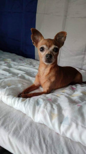 Photo de galerie - Un petit amour cette Choupinette !