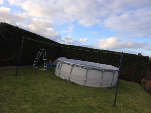 Photo de galerie - Taille de haies et d'arbustes