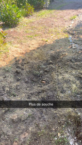 Photo de galerie - Après l’enlèvement de souche