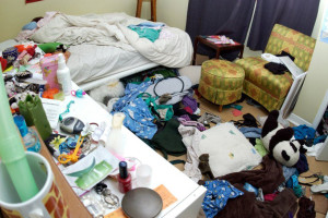 Photo de galerie - Aide au désencombrement