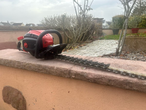 Photo de galerie - Taillage de haies 