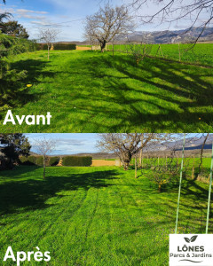 Photo de galerie - Tonte de pelouse - Débroussaillage