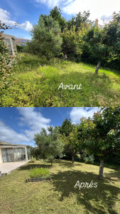 Photo de galerie - Débroussaillage suivi d’une tonte ( sans ramassage d’herbe)