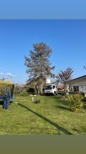 Photo de galerie - Abattage