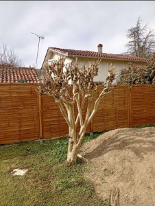 Photo de galerie - Taille 