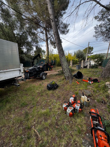 Photo de galerie - Elagage et coupe d'arbres