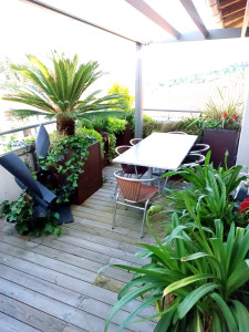 Photo de galerie - Réalisation d'un jardin exotique sur terrasse avec bacs et jardinières sur mesure en acier corten sur Castanet Tolosan 
