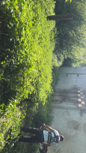 Photo de galerie - Aménagement du jardin 