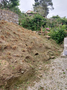 Photo de galerie - Tonte de pelouse - Débroussaillage