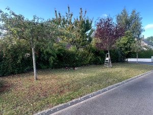 Photo de galerie - Taille de haies et d'arbustes