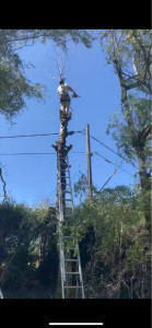 Photo de galerie - N