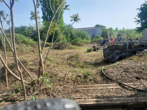 Photo de galerie - Débroussaillage