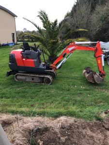 Photo de galerie - Mini pelle