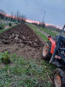 Photo de galerie - Jardinier