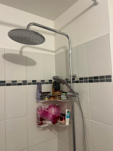 Photo de galerie - Installation colonne de douche 