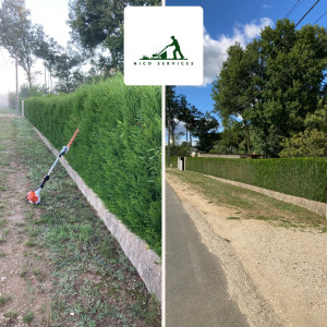 Photo de galerie - Taille de haies et d'arbustes