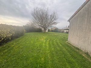 Photo de galerie - Tonte de pelouse 