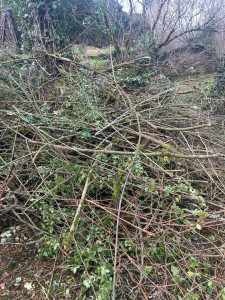 Photo de galerie - Jardinier 