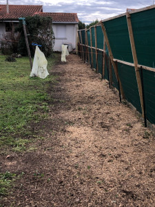 Photo de galerie - Service abattage de haie avec rognage de souches 