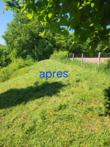 Photo de galerie - Tonte de pelouse - Débroussaillage