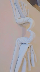 Photo de galerie - Ménage