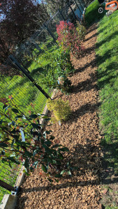 Photo de galerie - Petit aménagement 