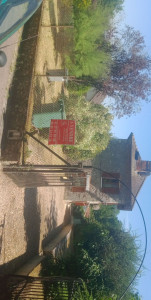 Photo de galerie - Tonte de pelouse - Débroussaillage