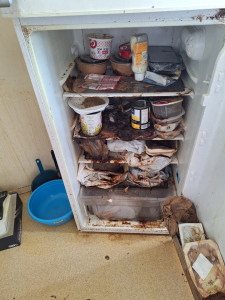 Photo de galerie - Un frigo qui n'est pas nettoyer depuis 3ans