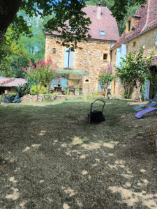 Photo de galerie - Tonte de pelouse - Débroussaillage