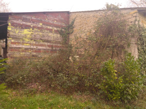 Photo de galerie - Tonte de pelouse - Débroussaillage