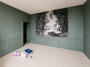 Photo de galerie - Peinture, pose de papier peint panoramique et pose de moulures