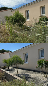 Photo de galerie - Désherbage, massif