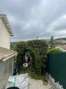 Photo de galerie - Taille de haies et d'arbustes