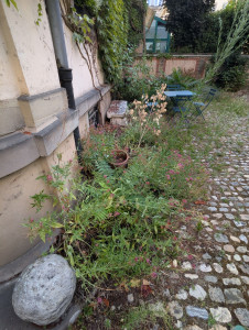 Photo de galerie - Paysagiste - Aménagement du jardin