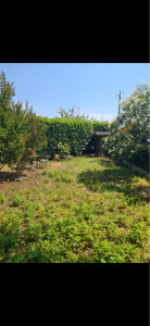 Photo de galerie - Tonte avant 
