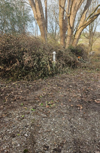 Photo de galerie - Paysagiste - Aménagement du jardin