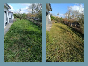 Photo de galerie - Tonte de pelouse - Débroussaillage