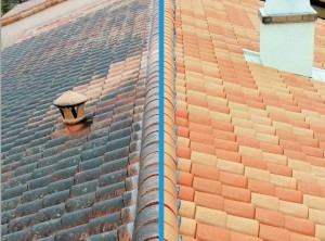 Photo de galerie - Nettoyage de toiture