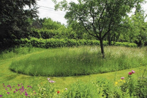 Photo de galerie - Tonte éco-responsable pour verger ou grand terrain