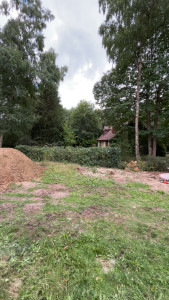 Photo de galerie - Taille de haies et d'arbustes