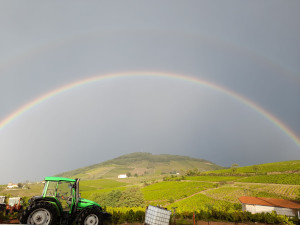 Photo de galerie - Je peux faire des petits travaux jardinage montage de petite cabane .
faire le ménage 