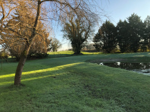 Photo de galerie - Résultat final de la création de pelouse 800m2 réalise manuellement 