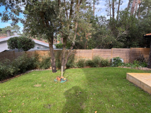 Photo de galerie - Entretien d’un jardin avec tonte de la pelouse, débarrassage des feuilles morte. 
