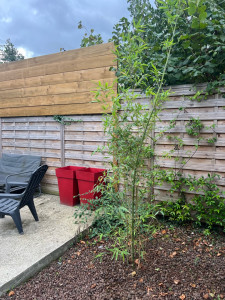 Photo de galerie - Paysagiste - Aménagement du jardin