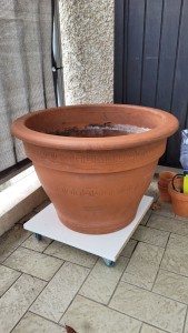 Photo de galerie - Nettoyage de pot de jardinage en terre cuite