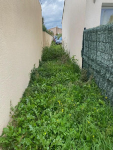 Photo de galerie - Tonte de pelouse - Débroussaillage