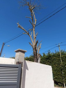 Photo de galerie - Après 