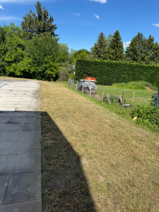 Photo de galerie - Tonte de pelouse - Débroussaillage