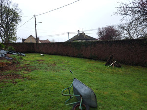 Photo de galerie - Taille de haies et d'arbustes